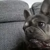 Julie Herod - @julie.herod - TikTok