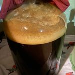 Julia Herz - @immaculatefermentation - Instagram