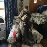 Julie Hinman Doyle - @julido79 - Instagram