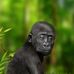Julie Hoddinott - Facebook