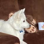 Julie Holmlund - @wholeo1965 - Instagram