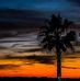 Julia Holsonback - Facebook