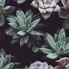 Julia Holter - @juliaholter1 - TikTok