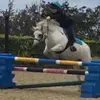 juliahomersham.eq - @juliahomersham.eq - TikTok