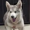 juliahosack315 - @juliahosack315 - TikTok