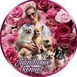 Питомник «Джулия Хаус» чихуахуа - @juliahouse_reserv - Instagram