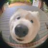 Juliahung - @juliahung1231 - TikTok
