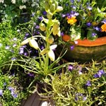 Julie Hurd - @julie.hurd.73 - Instagram