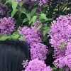 Julia Jasmin - @_juliajasmin_ - TikTok