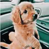 Jasper & Julia - @jasper_chase_julia - TikTok