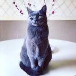Jasper&Julia - @jasper_and_julia - Instagram