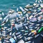 Julia, Jasper, Evan - @plastic_pollution.solution - Instagram