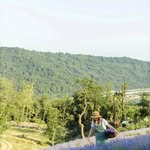 Julia Annelie Jeffery - @juliaanneliejeffery - Instagram