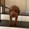 juliaaaaa - @julia.jessie - TikTok
