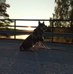 Julia Johansson - Facebook