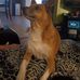 Julia Joiner Davis - Facebook