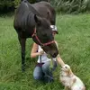 Julia - @juliajoiner - TikTok