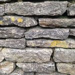 Cllr Julia Judd, Ermin Ward - @erminward - Instagram