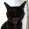 Julia Kan - @juliakan7 - TikTok