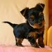 Julia Kania - Facebook