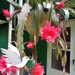 Julia Keener - Facebook
