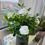 @juli.aknox489oag - Instagram