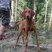 Julia Kohn - Facebook