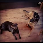 julia_kosmala ❤ - @julia_kosmala1 - Instagram