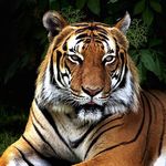 Juliakovacevic - @julia.1973 - Instagram