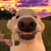 lackjuliam - @lackjuliam - TikTok