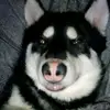 Julianlovesmilfs - @julianlafferty06 - TikTok