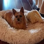 Julia Landreth Wiseman - @julialandrethwiseman - Instagram
