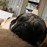 Julie Lanham - @julie.lanham - TikTok