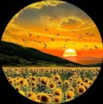 Julia Leal - Facebook