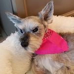 Julie Ledbetter - @julie.ledbetter.56 - Instagram