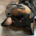 Julie Ledbetter - @julie.ledbetter.3933 - Instagram