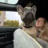 julia - @.julialefebvre - TikTok