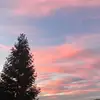 Julia Lefebvre677 - @julia926000 - TikTok