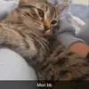 Julia Lefebvre - @julia.lefebvre5 - TikTok