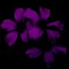 Julia - @lehner_julia_2022 - TikTok