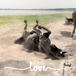 Julia Lemon Goncharow - @julia.lemon70 - Instagram