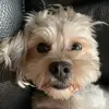julia.leroux2007 - @julia.leroux03 - TikTok