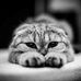 Julia Leroy - Facebook