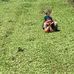 Julia LeRoy - Facebook