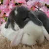 . - @julia.loeffler - TikTok