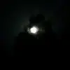 julia - @julia_longo_2 - TikTok