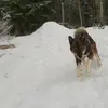 Julia Mäkelä - @juliaevel11na - TikTok