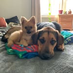 Julia Maples - @animalhouse.partyof5 - Instagram