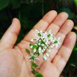 🍃 - @julia.marion_ - Instagram