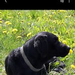 Julia Markert - Facebook